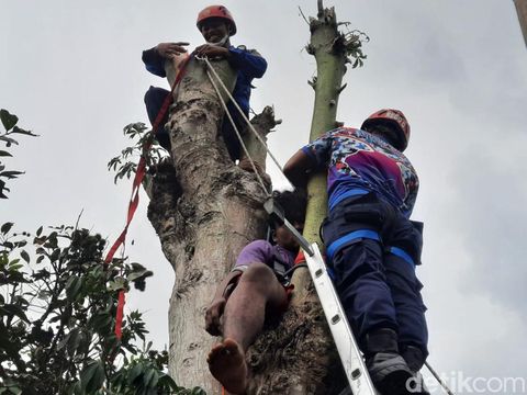 Evakuasi pemuda yang pingsan di atas pohon (Foto: Dok. Polres Blitar)